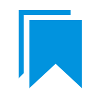 1 Professional Experience